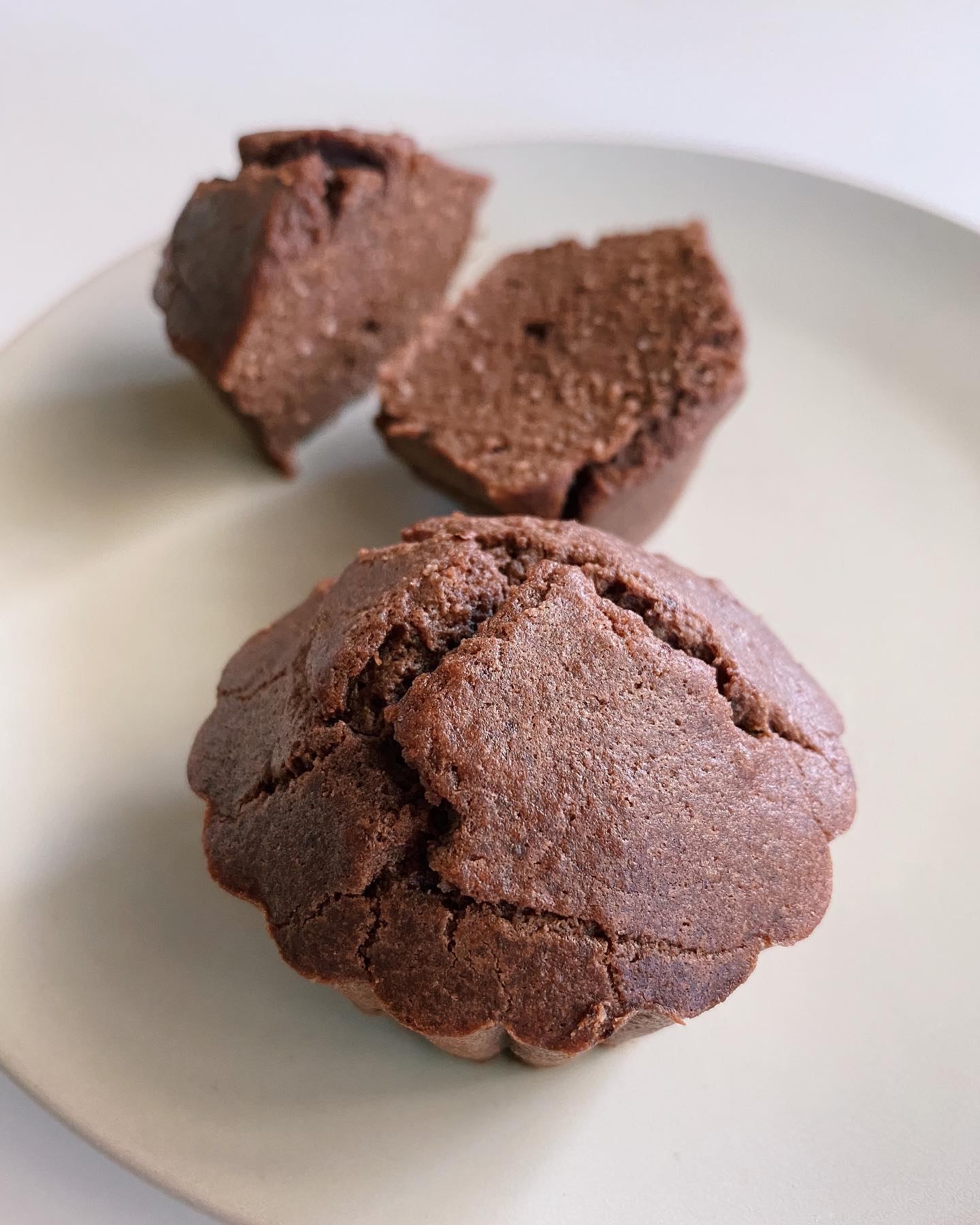 Decadent Chocolate Yogurt Muffins