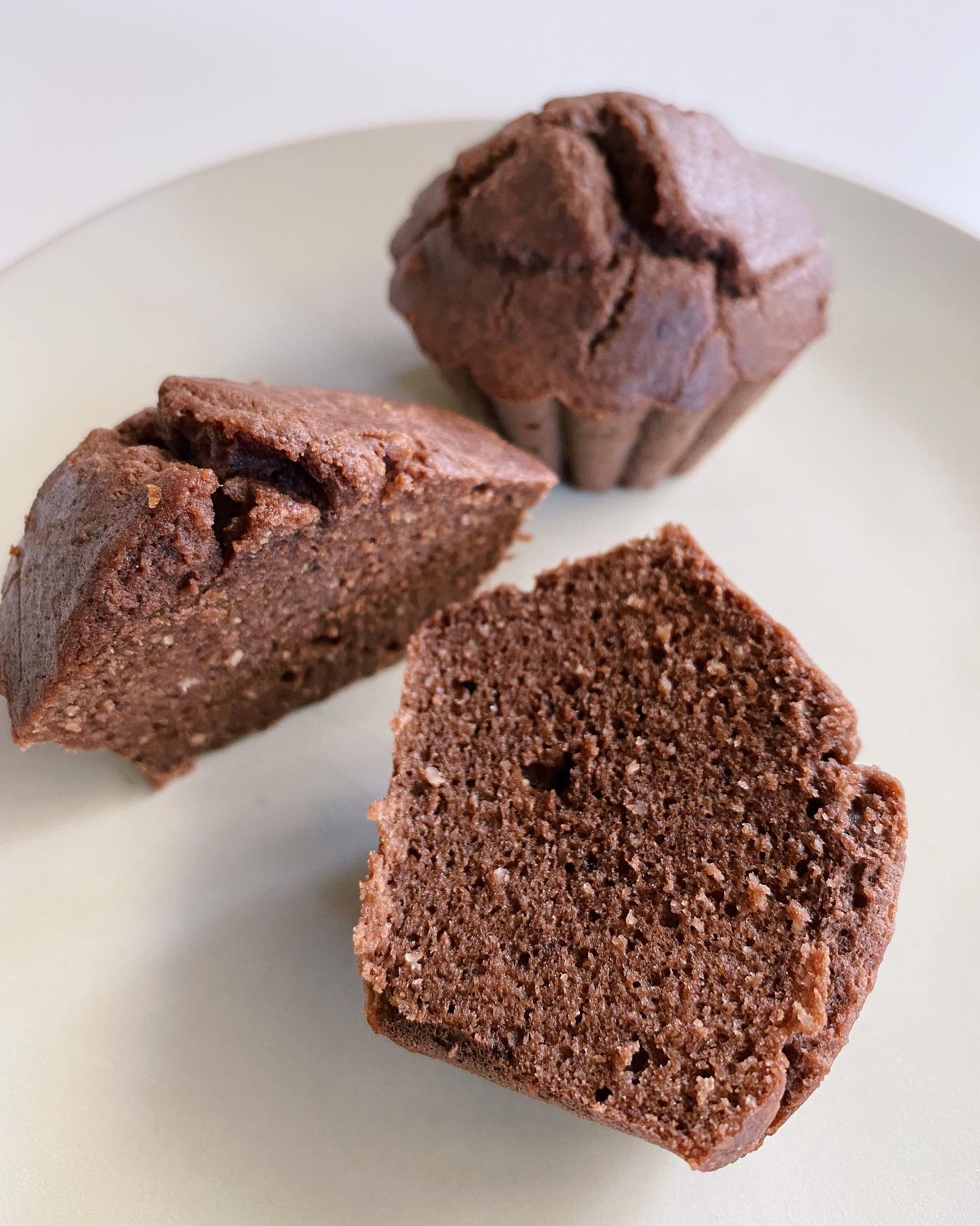 Decadent Chocolate Yogurt Muffins