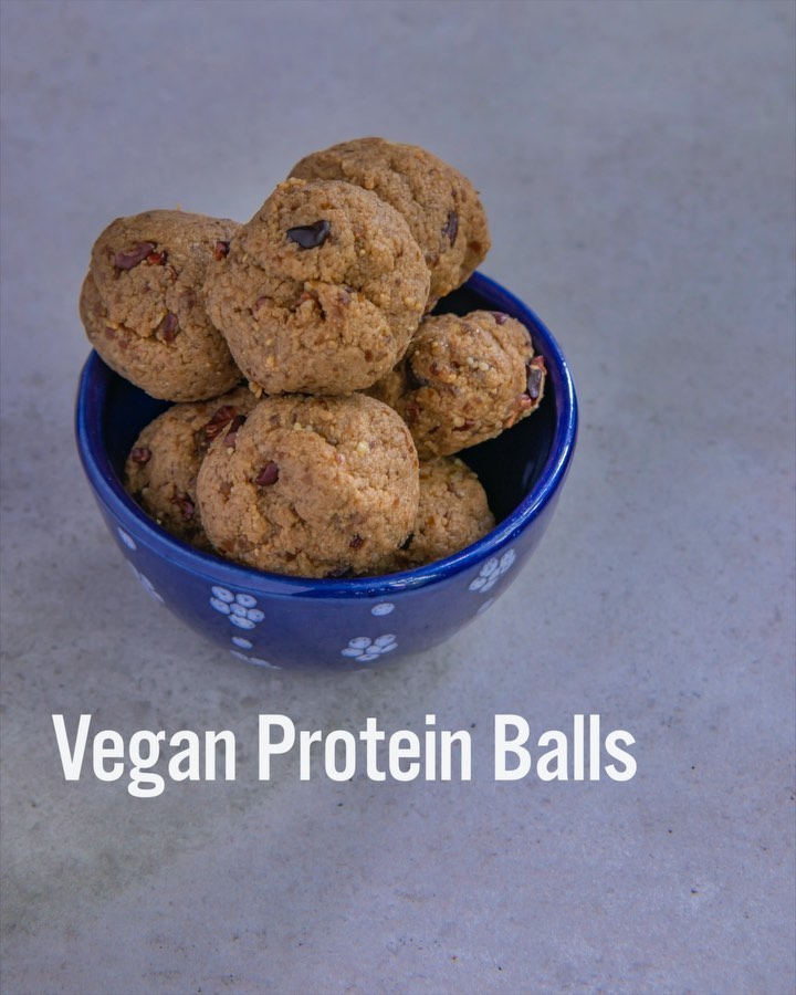 Vanilla Maca Vegan Protein Balls