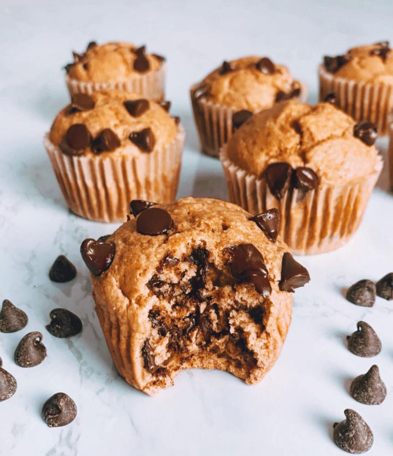 Chocolate Chip Pumpkin Muffins