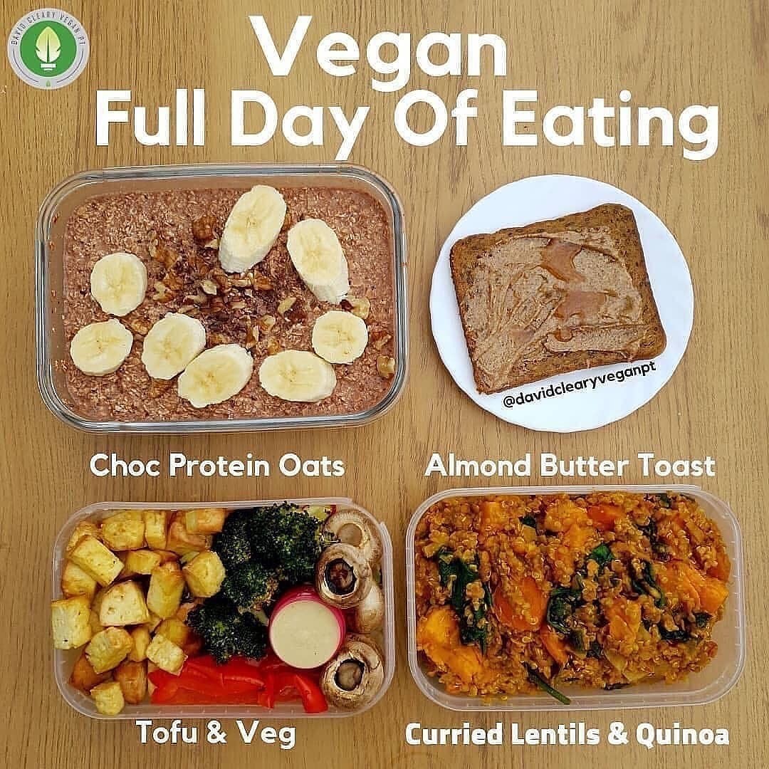 Vegan Full Day Meal Prep