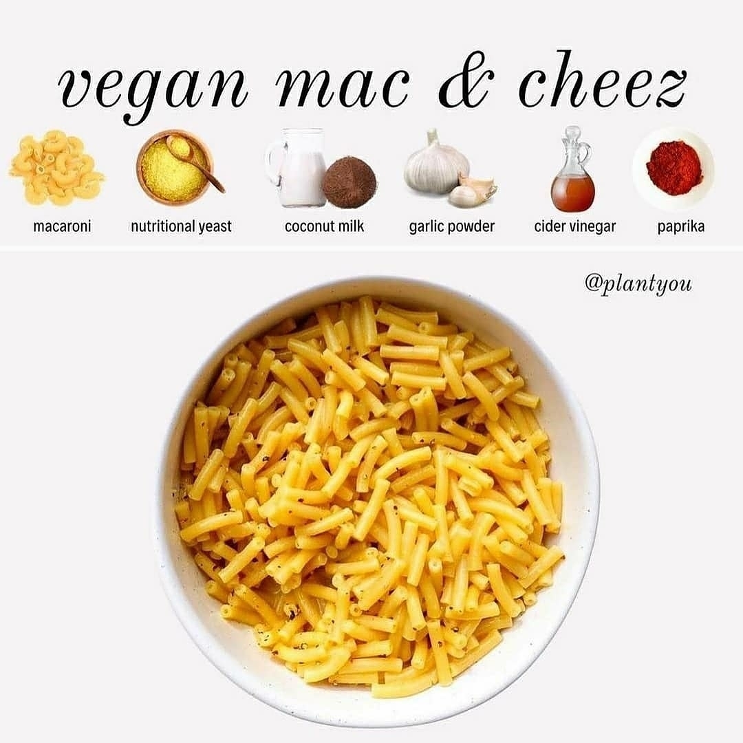 Vegan Pasta Recipes for the Week