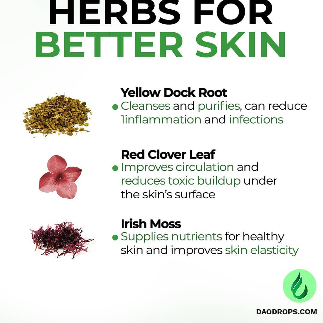 Refreshing Detox Water for Better Skin