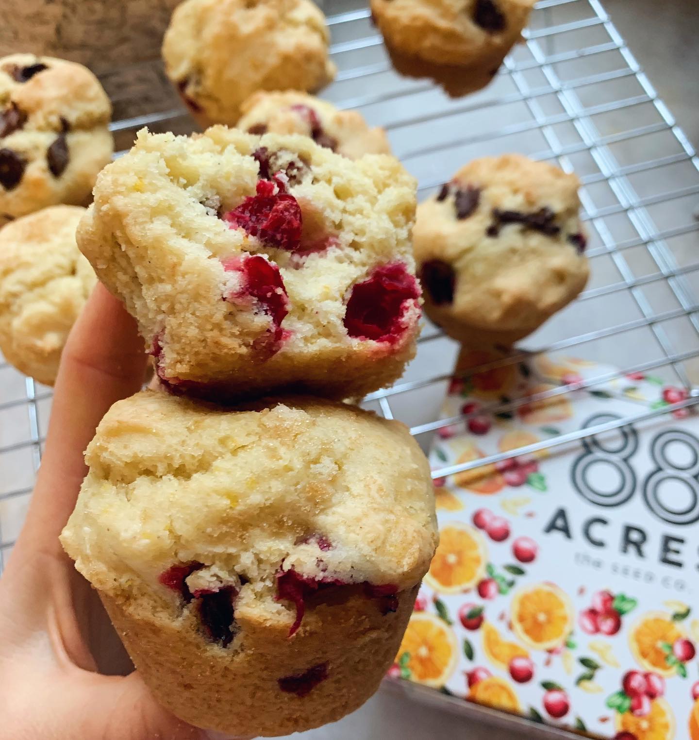 Gluten-Free Cranberry Orange Muffins