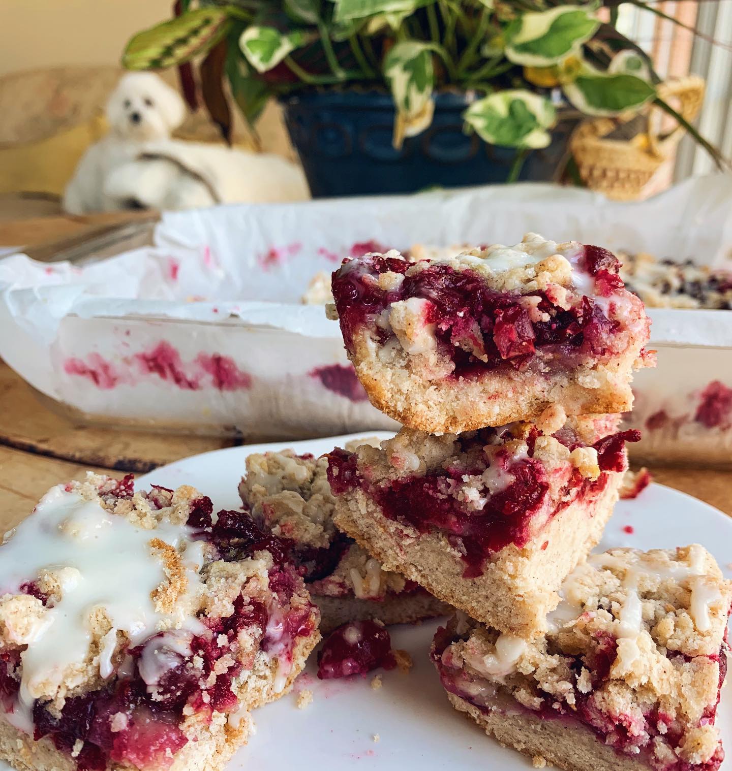 Easy Gluten-Free Cranberry Bars