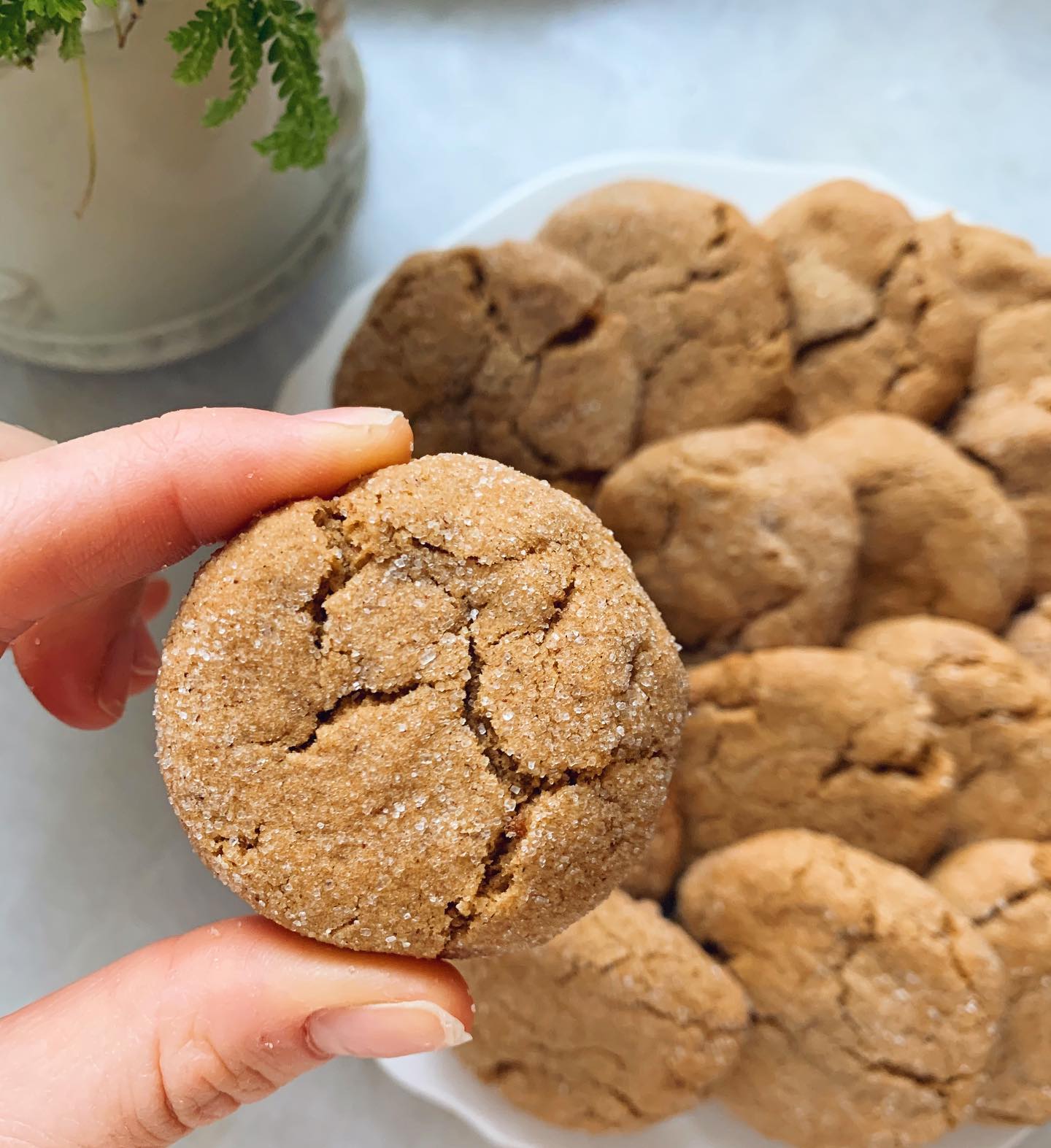 Soft and Chewy Gluten-Free Molasses Cookies
