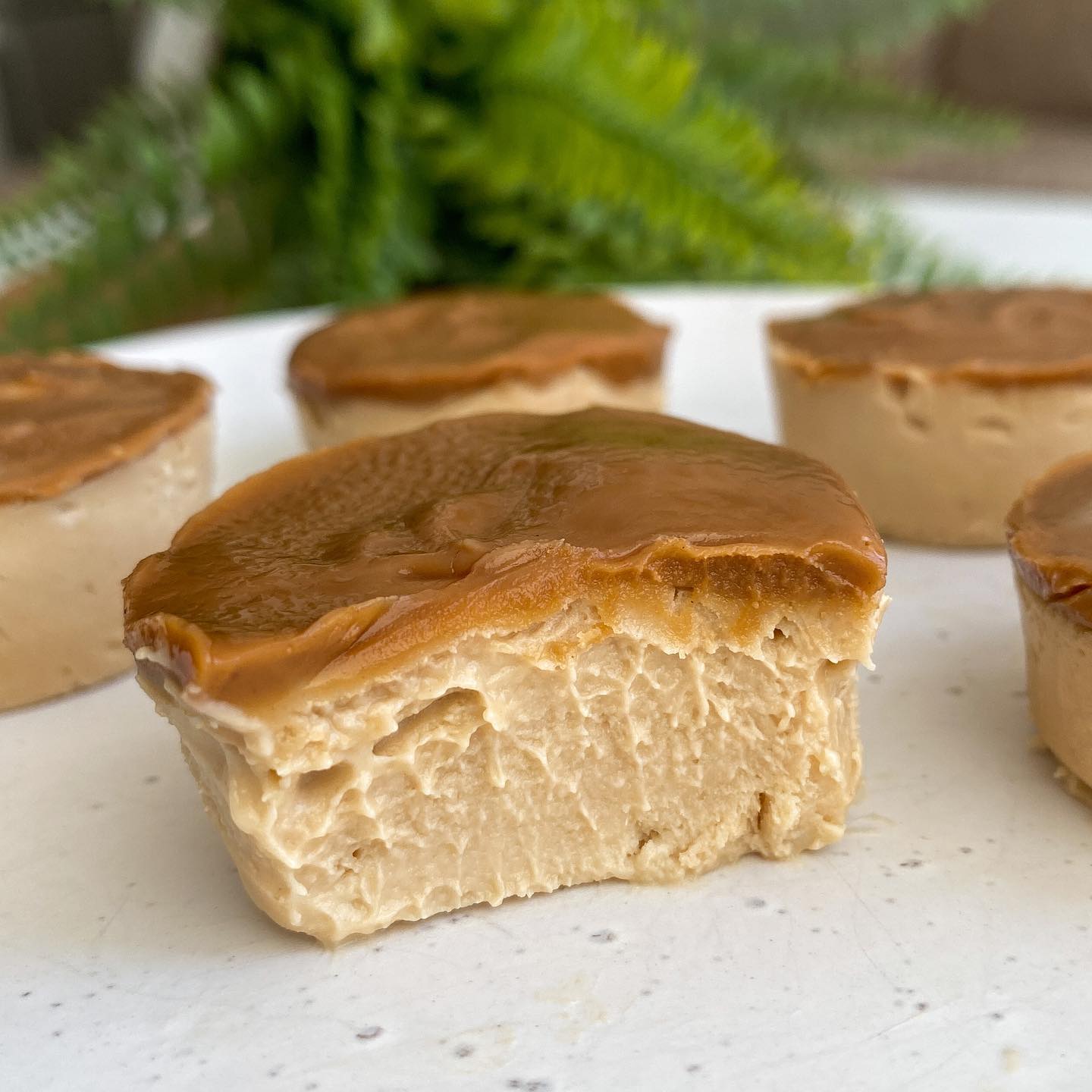 4 Ingredient Biscoff Cheesecakes