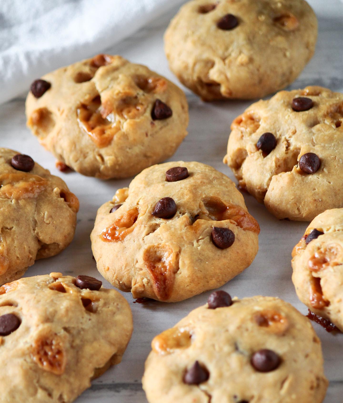 Protein-Packed Peanut Butter Coconut Yogurt Cookies