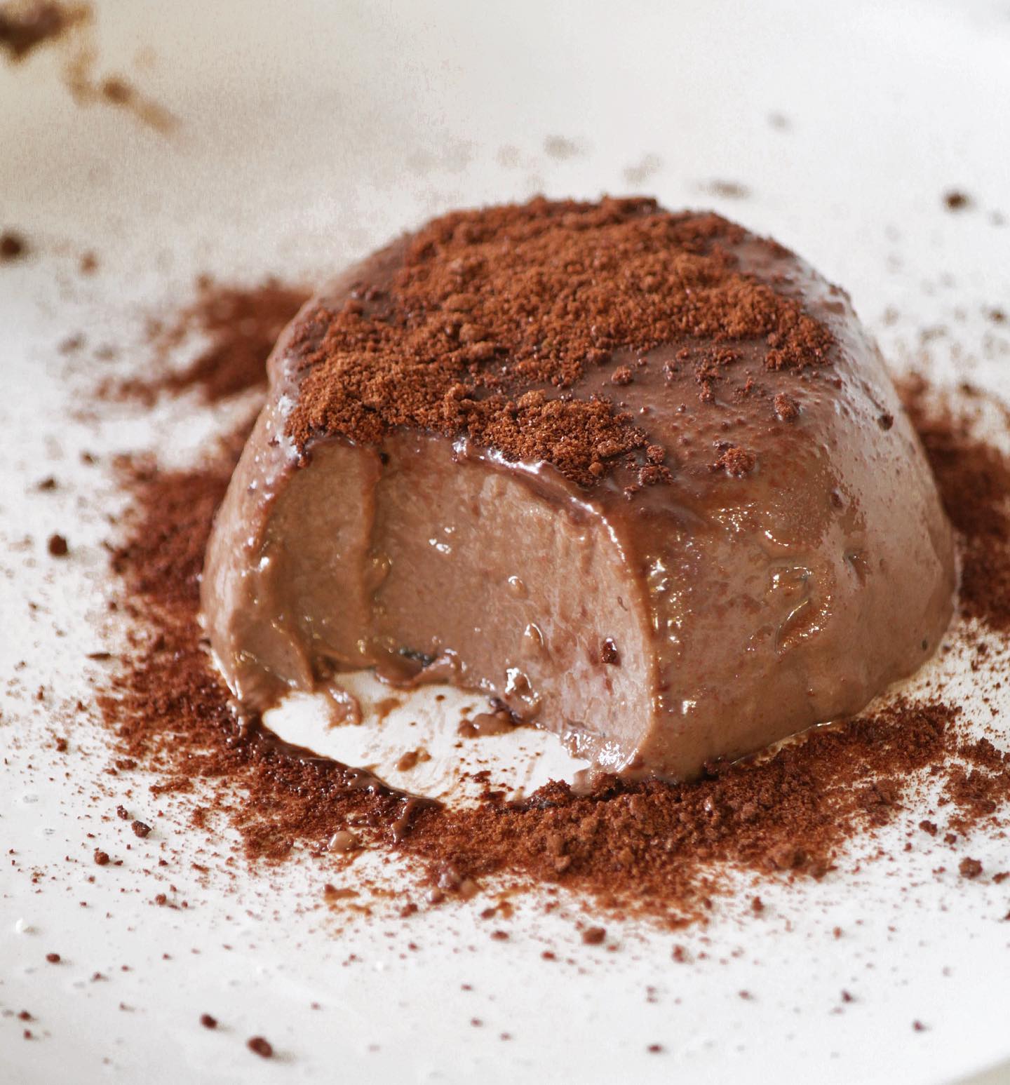 Silky Chocolate Custard Pudding