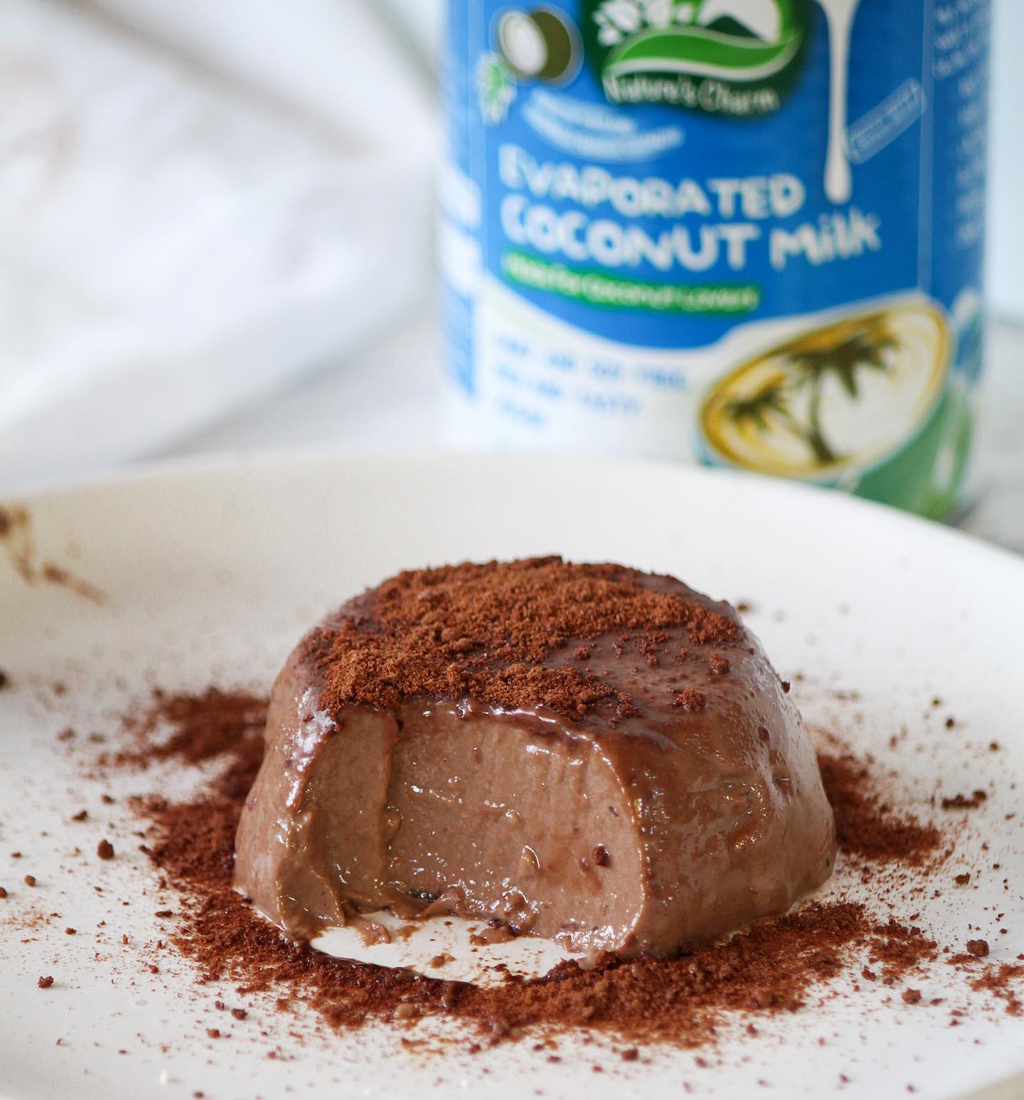 Silky Chocolate Custard Pudding