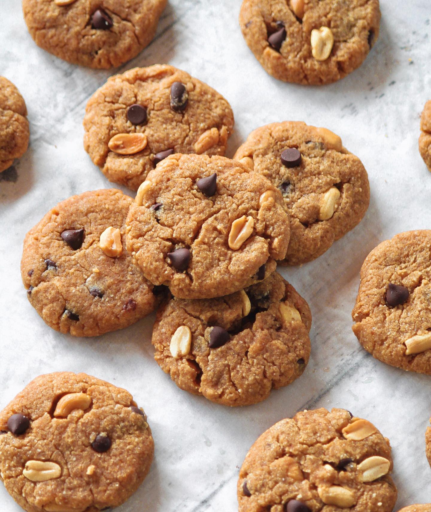 Choc Chip Peanut Butter Cookies