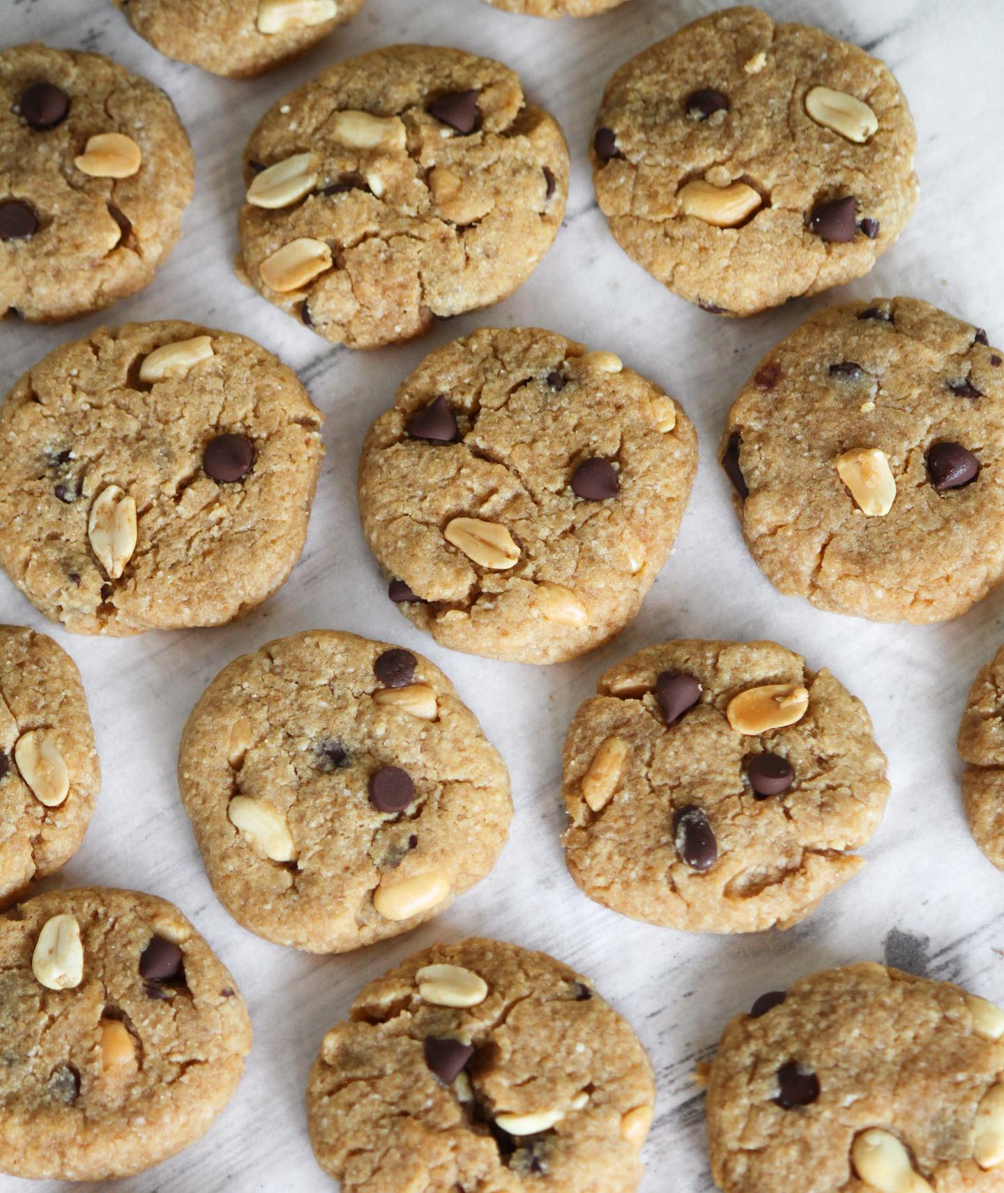 Choc Chip Peanut Butter Cookies