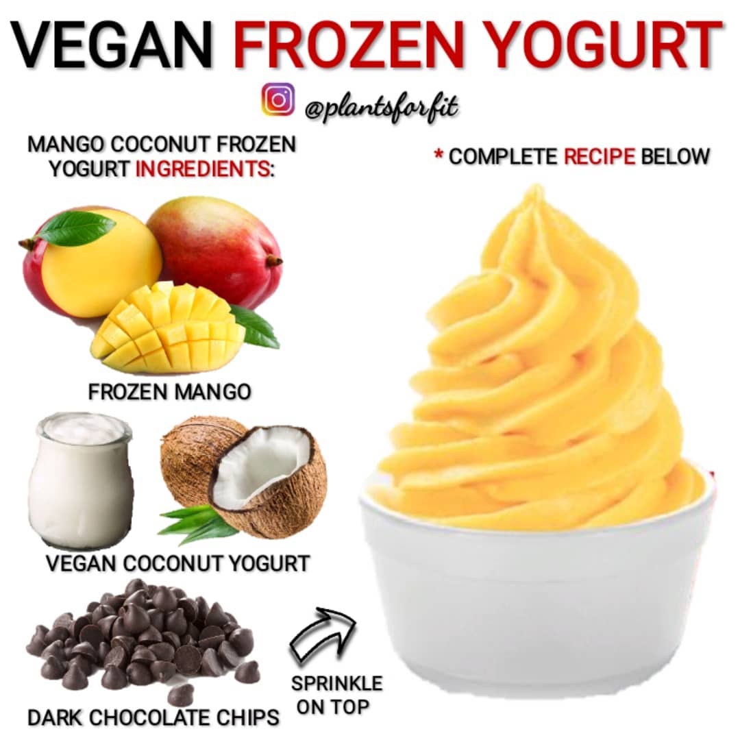 Vegan Frozen Yogurt with Mango and Chocolate