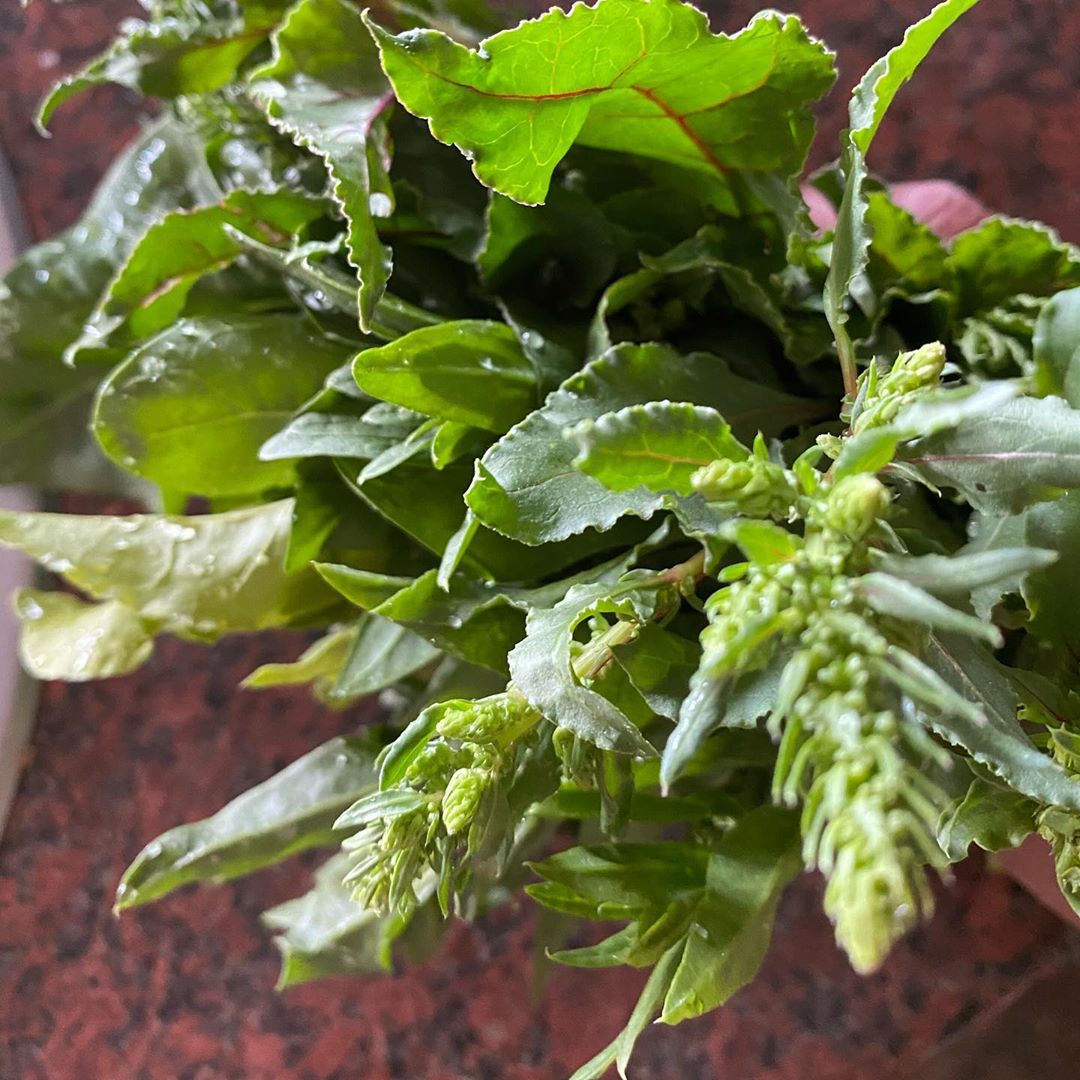 Spinach Pesto Pasta