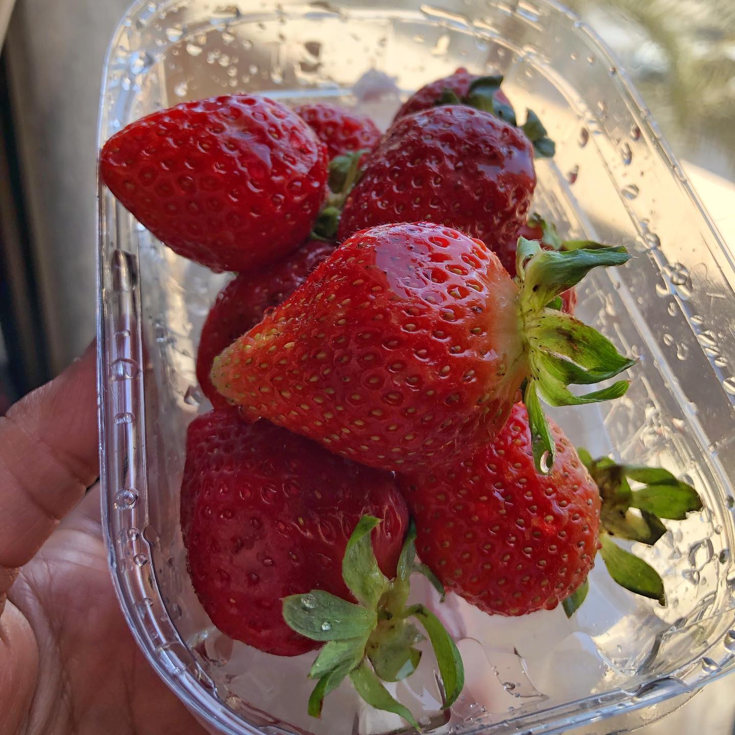 Fresh Strawberries for Breaking Fast