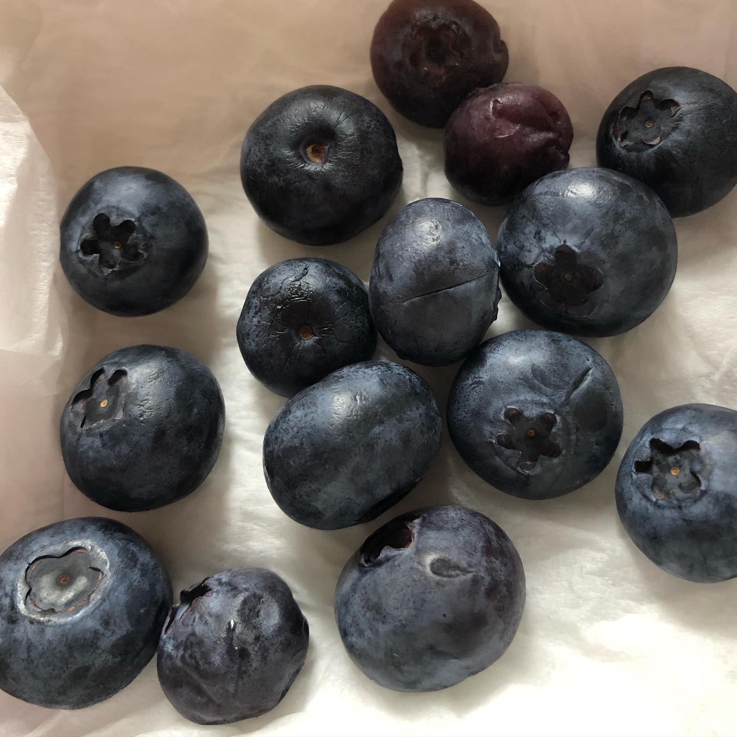 Handful of Blueberries Healthy Snack