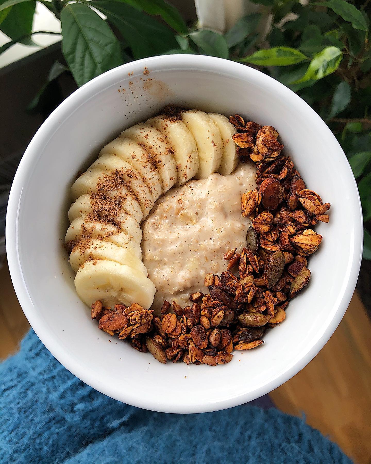 Coconut Steel Cut Oats Breakfast