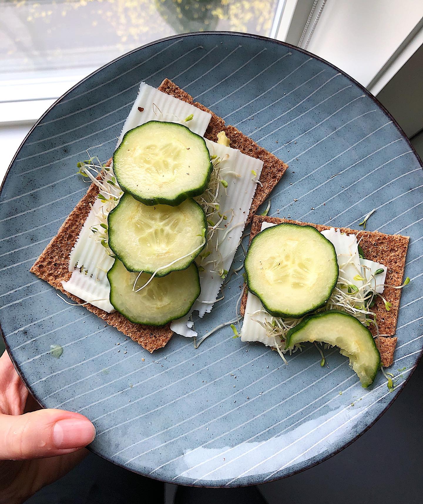 Avocado Goat Cheese Rye Crispbread Snack