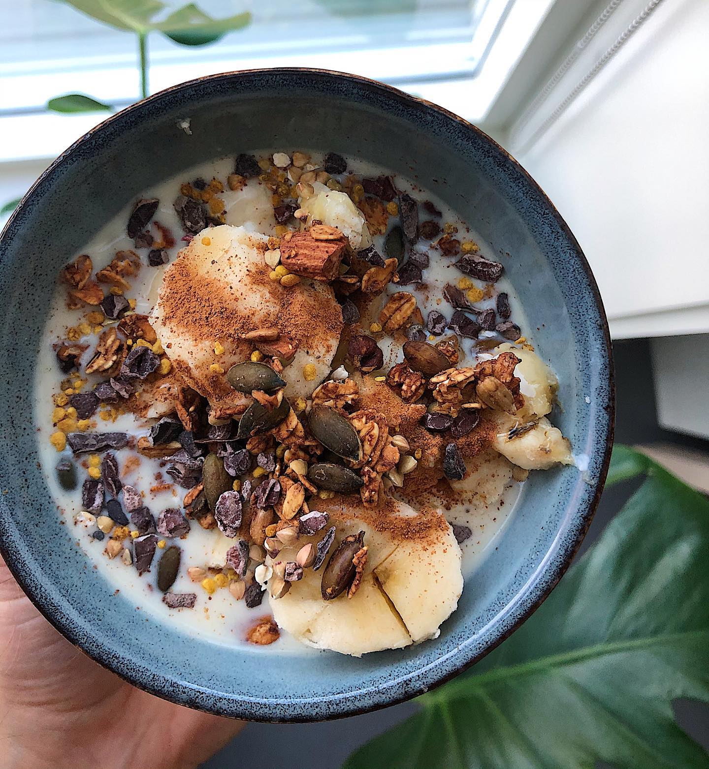 Greek Yogurt Bowl with Toppings