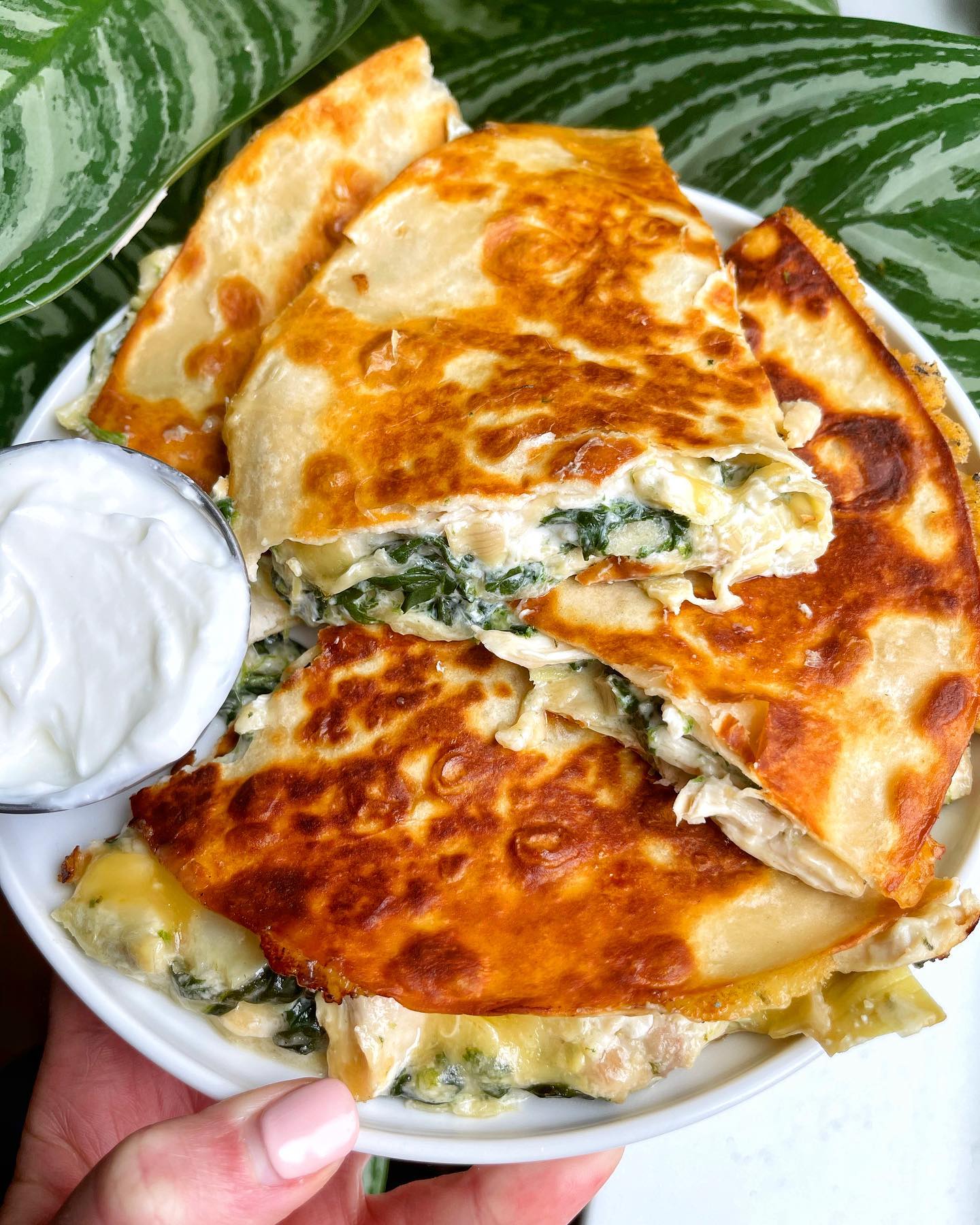 Spinach Artichoke Chicken Quesadilla with Gouda