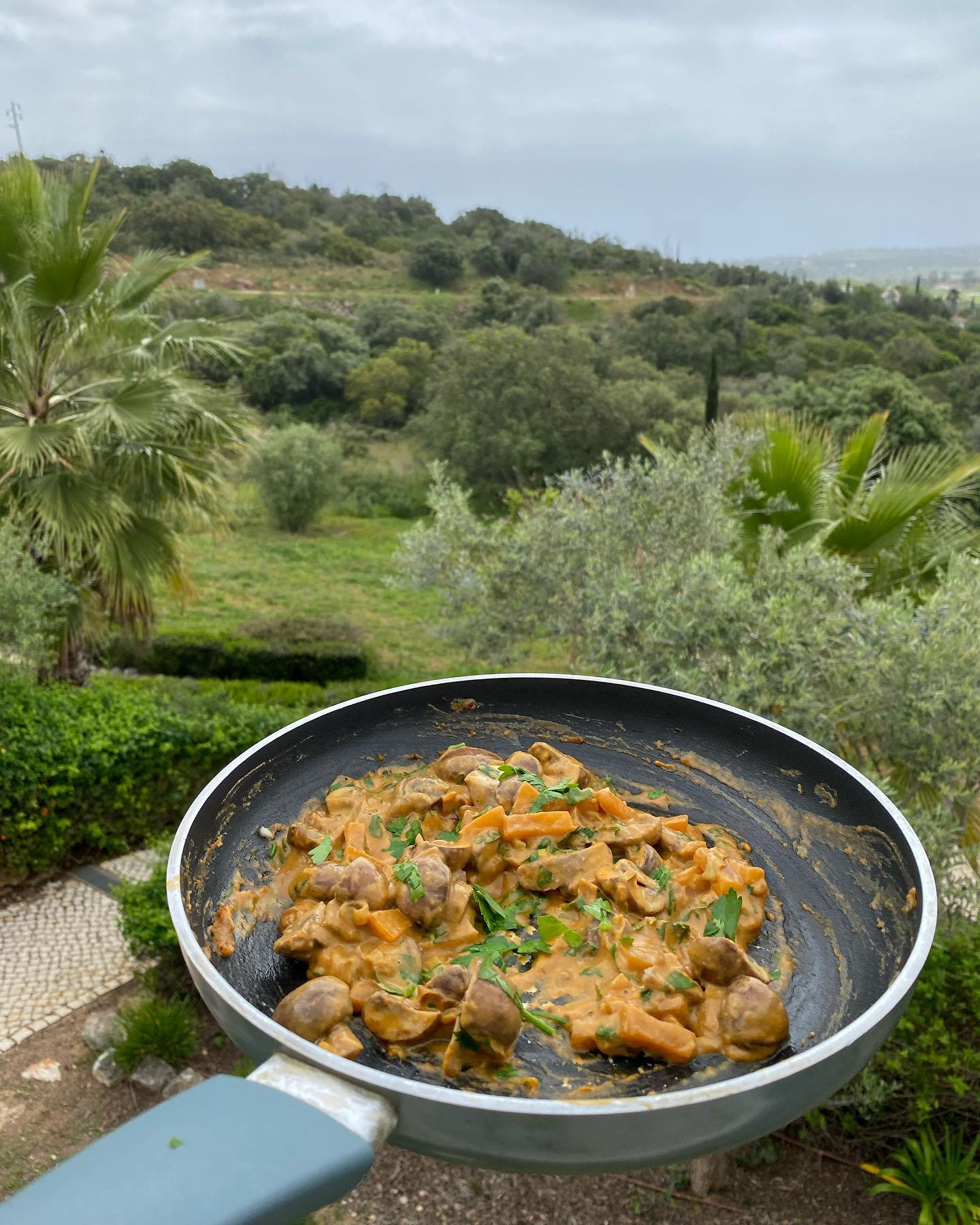 Creamy Vegan Mushroom & Butternut Squash Delight