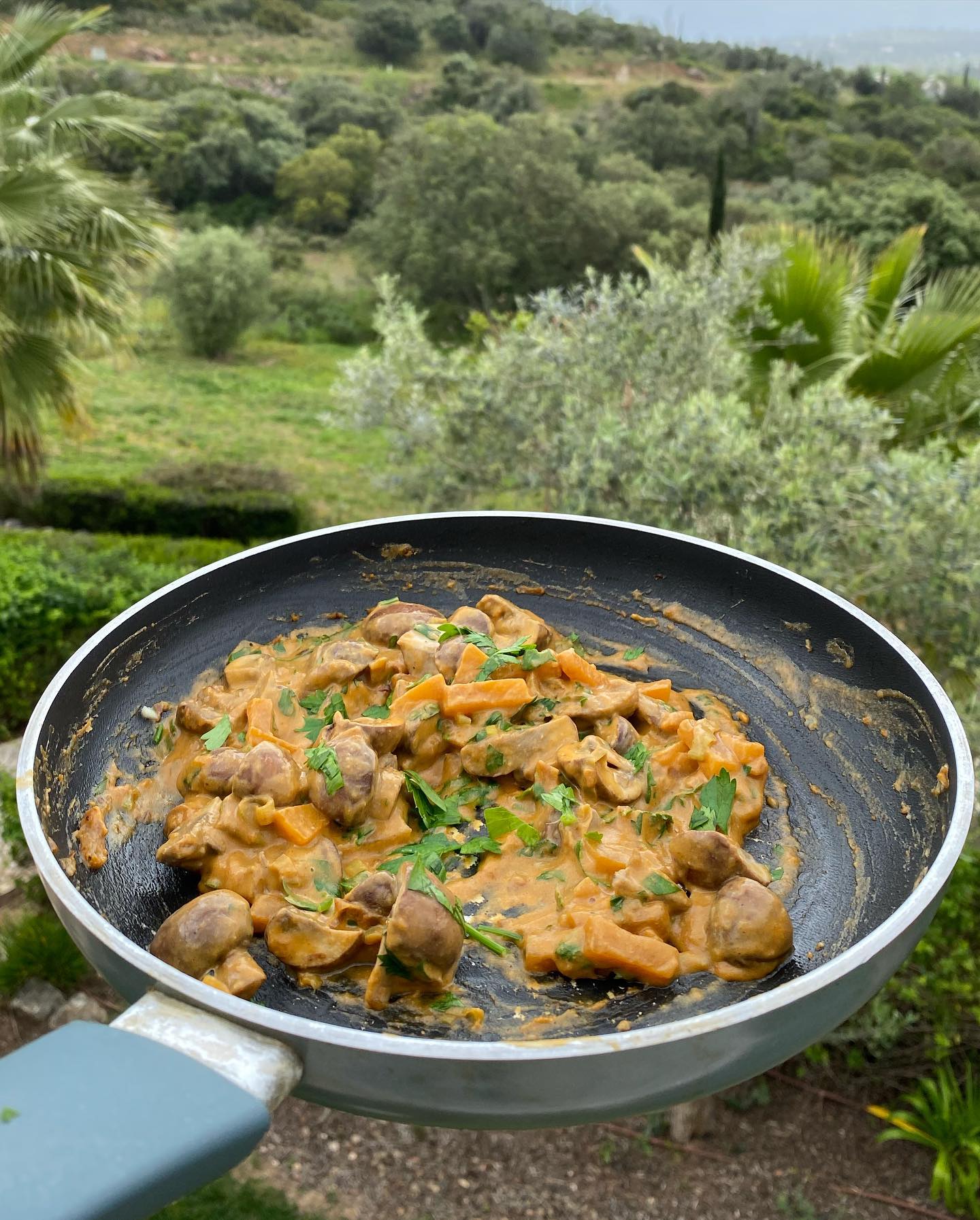 Creamy Vegan Mushroom & Butternut Squash Delight