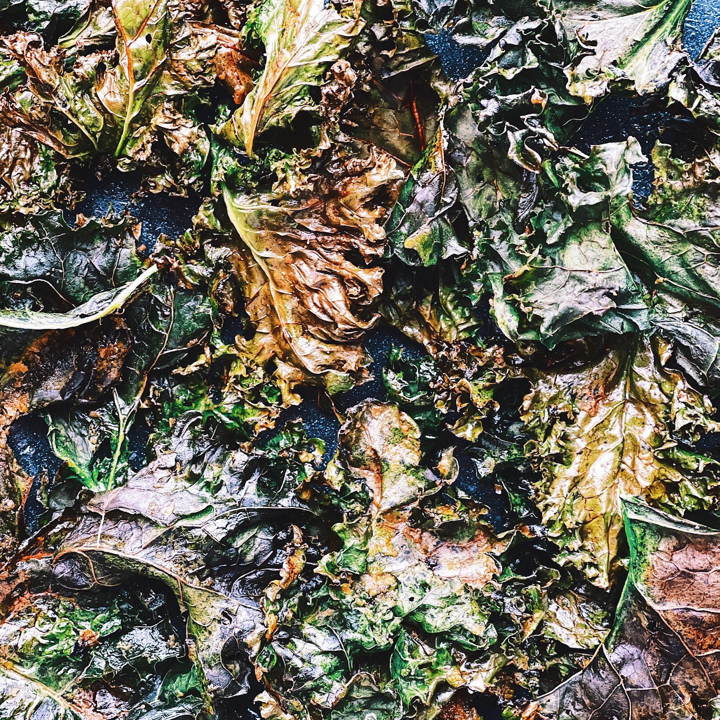 Crispy Oven-Baked Kale Chips