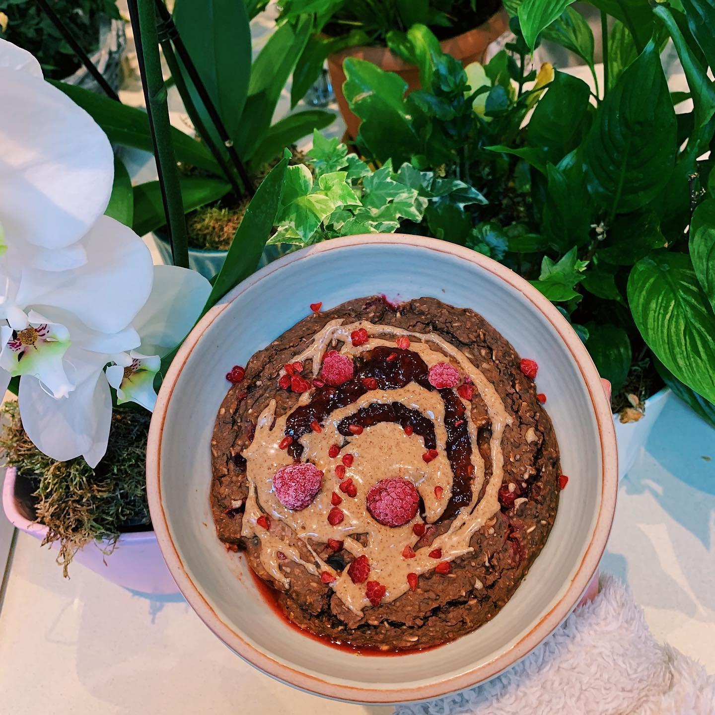 Decadent Chocolate Berry Oat Delight