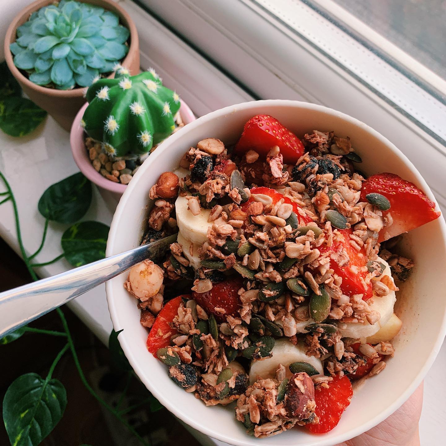 Fruit and Nut Granola with Protein Yoghurt