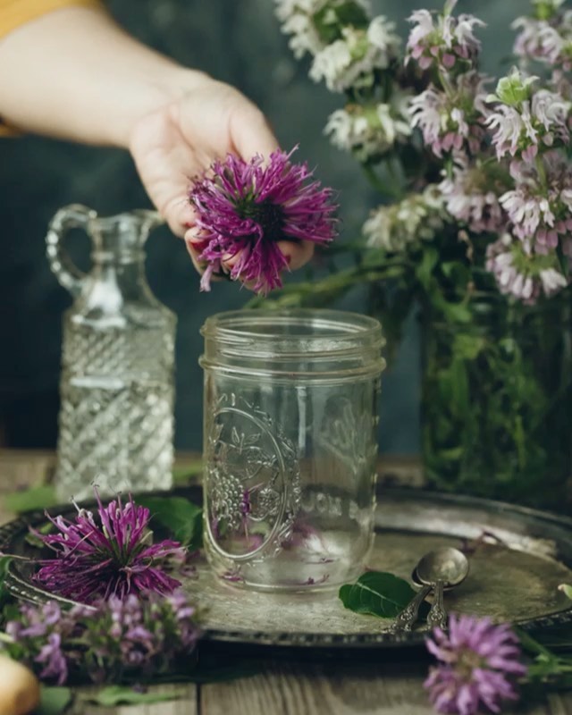 Bee Balm Oxymel