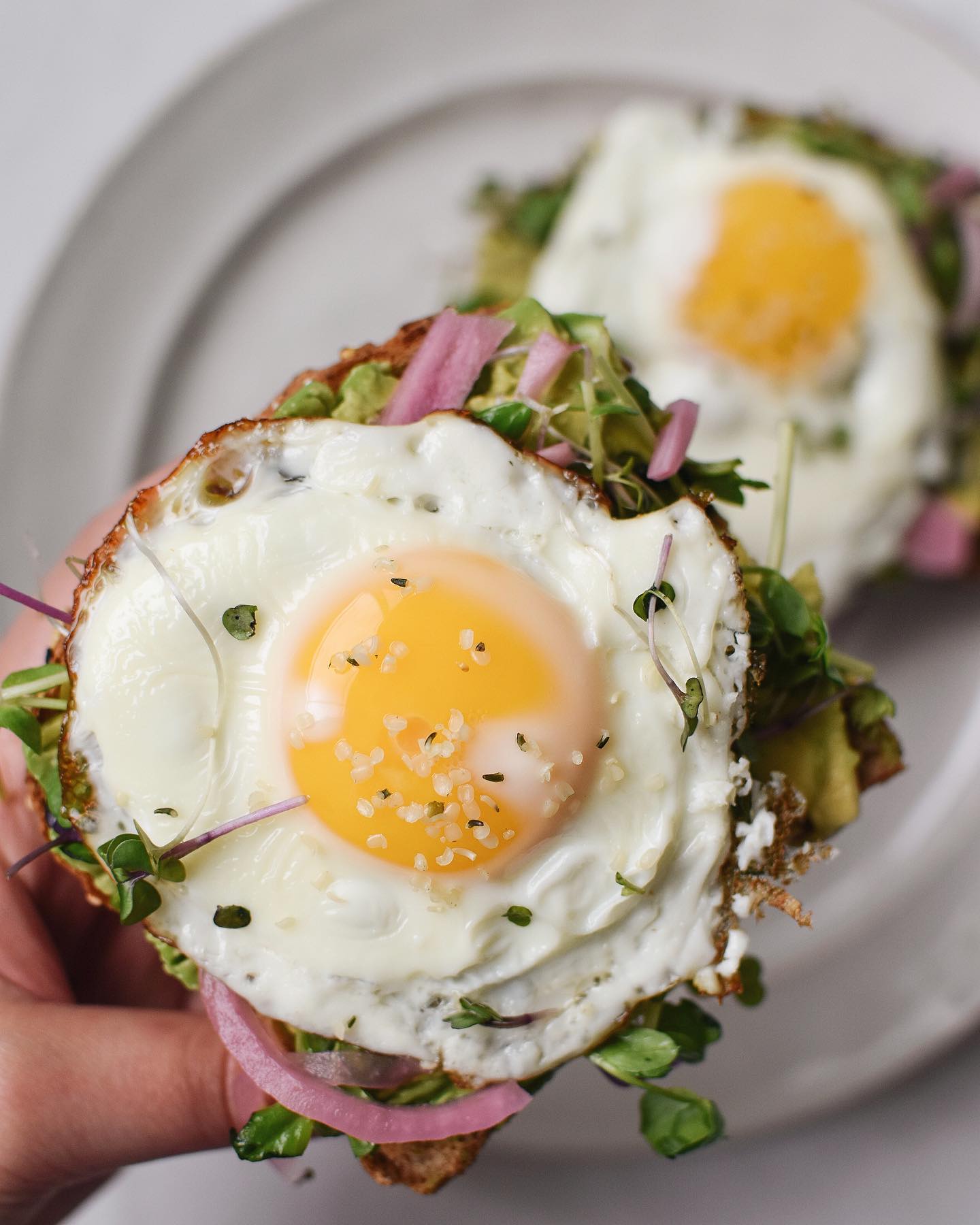 Avocado Toast with Micro Greens and Fried Eggs