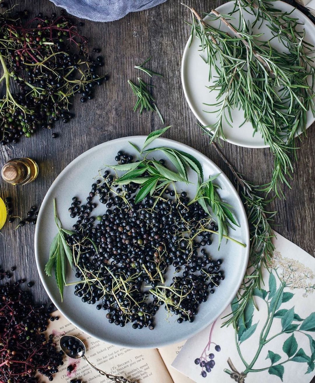 Elderberry Syrup for Immune Health