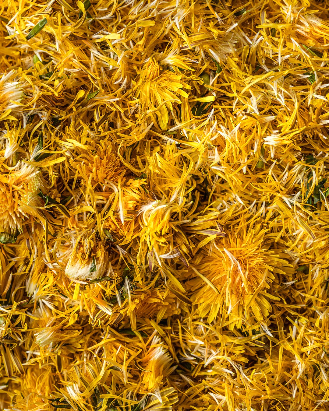 Homemade Vegan Dandelion Honey