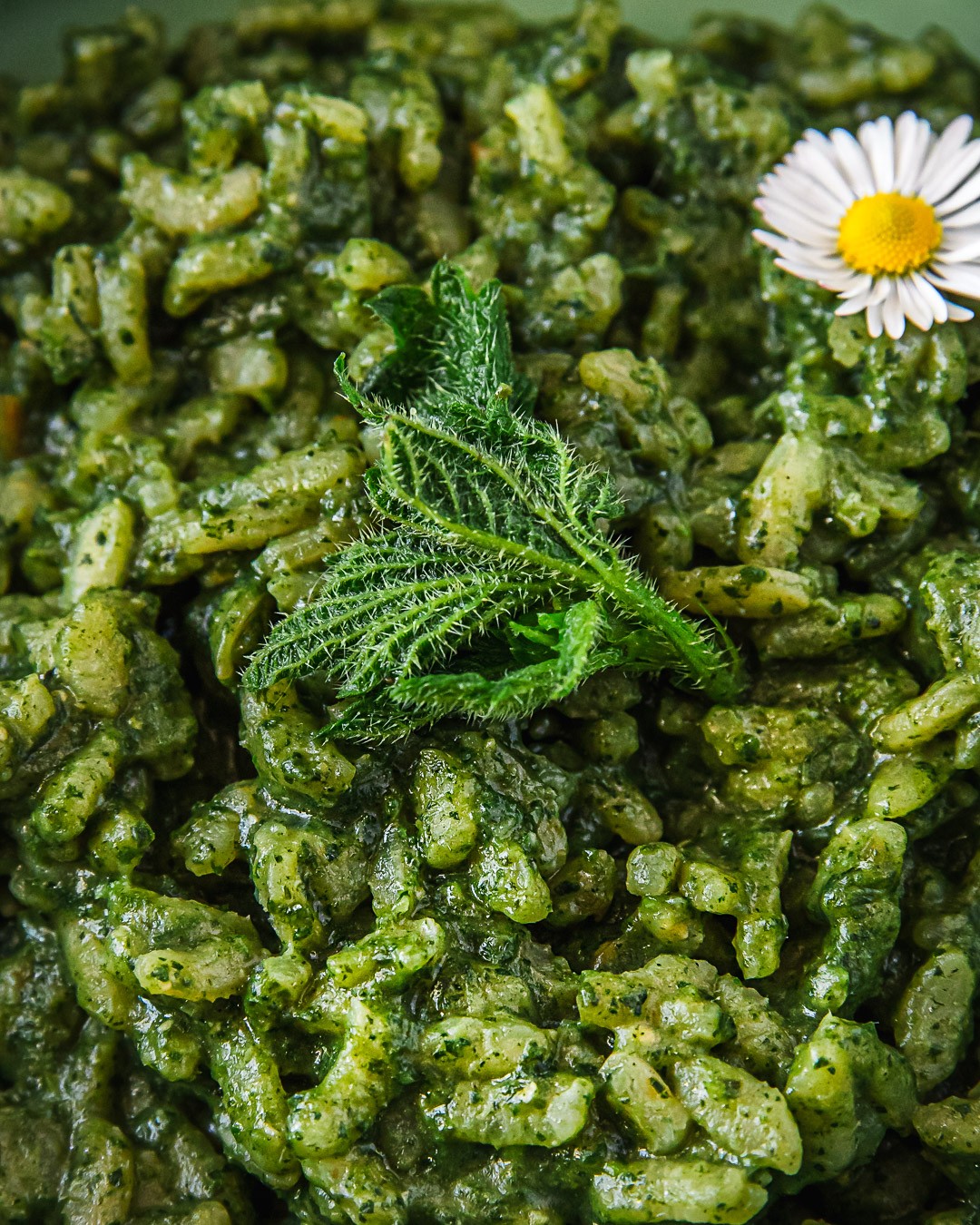 Nettle and Mushroom Risotto