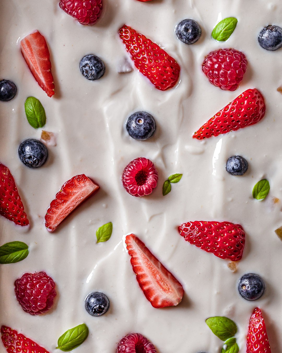 Frozen Yogurt and Fruit Bars