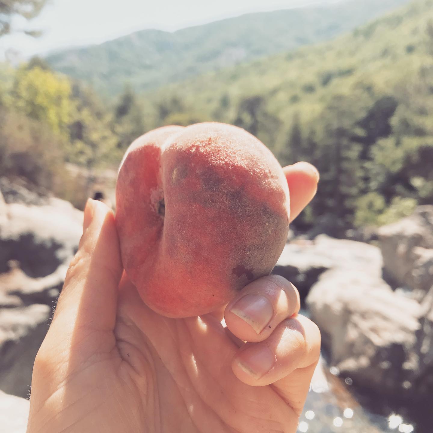 Nutritious Poached Peach Delight