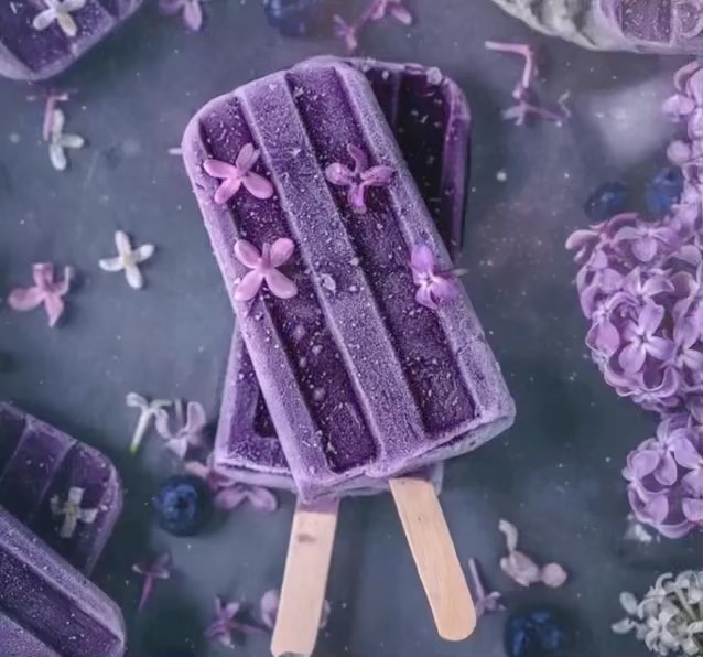 Homemade Blueberry Coconut Yogurt Popsicles
