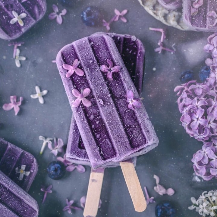 Homemade Blueberry Coconut Yogurt Popsicles
