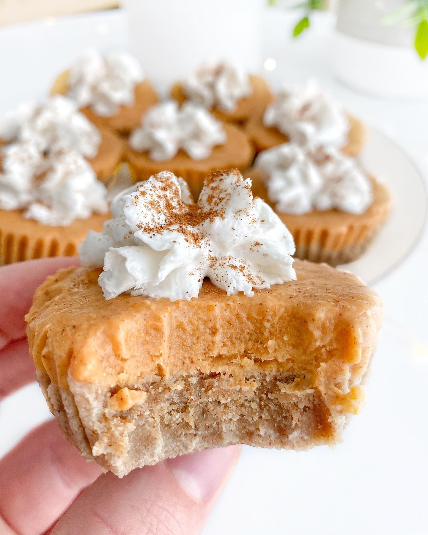 No-Bake Pumpkin Pie Bites