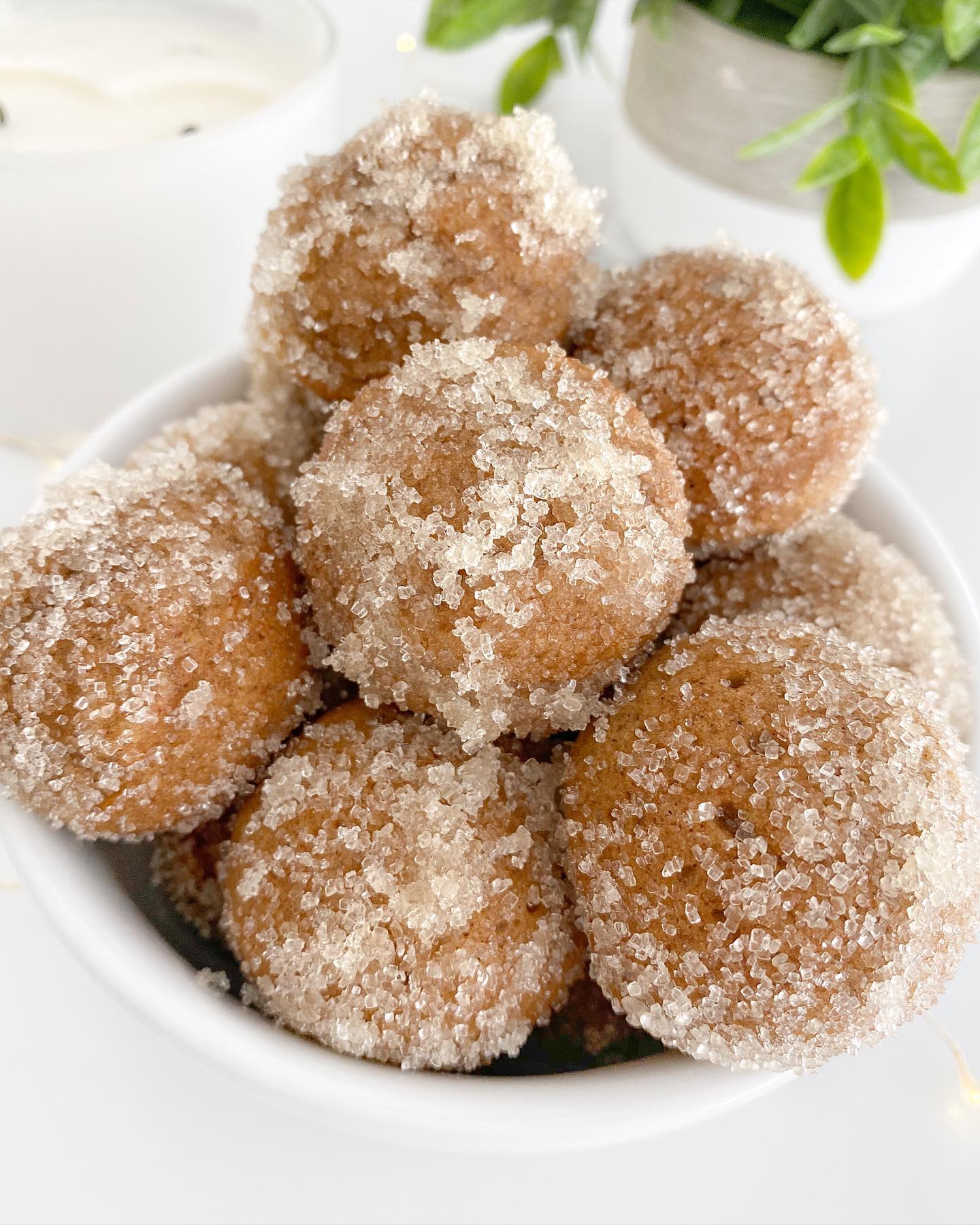 Cinnamon Applesauce Donut Holes