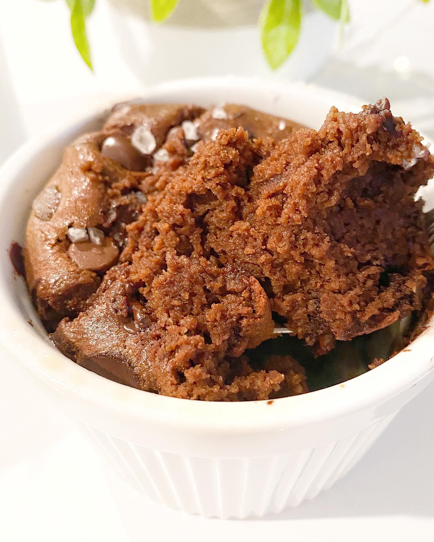 Double Chocolate Baked Oats