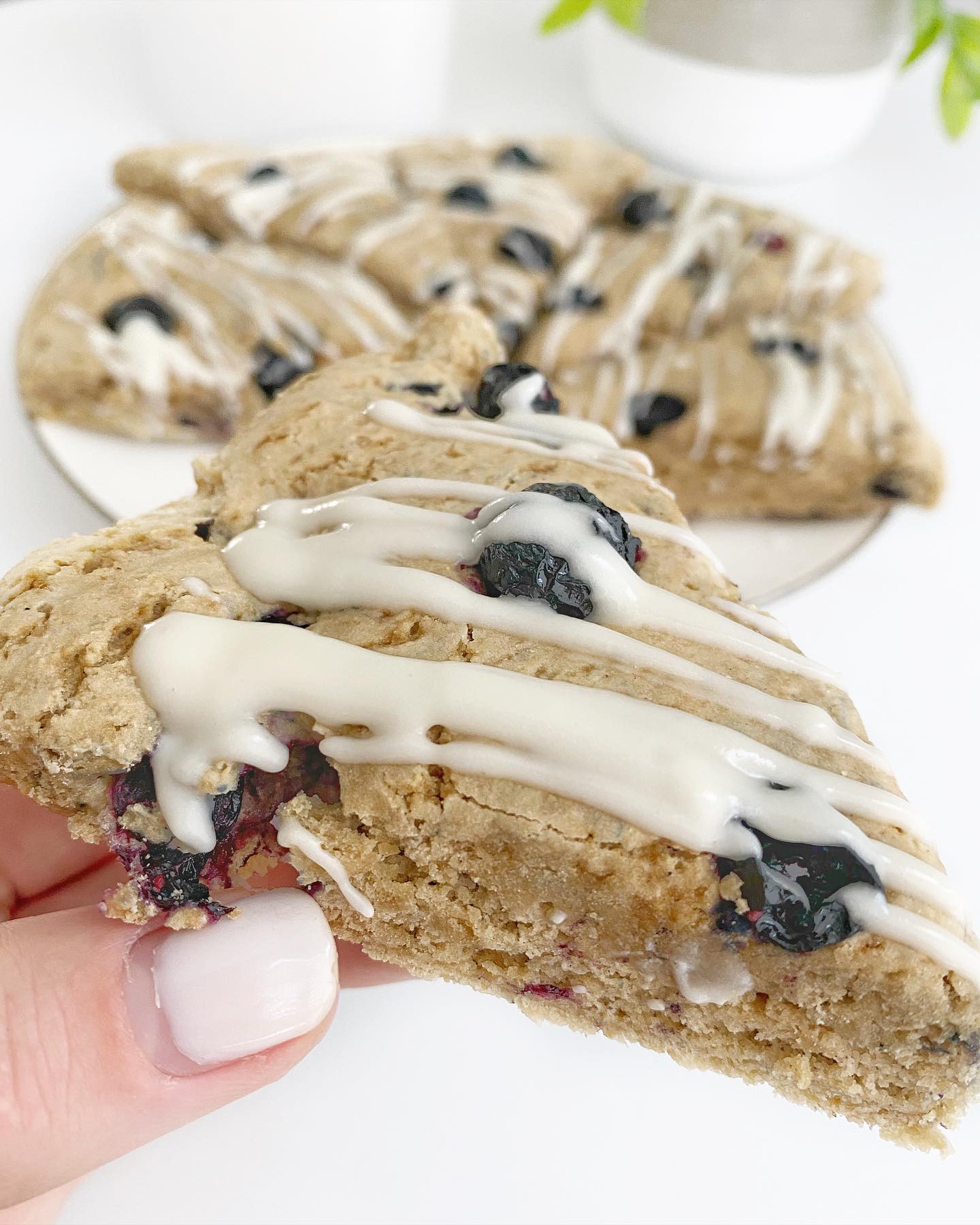 Gluten-Free Blueberry Scones with Vanilla Frosting