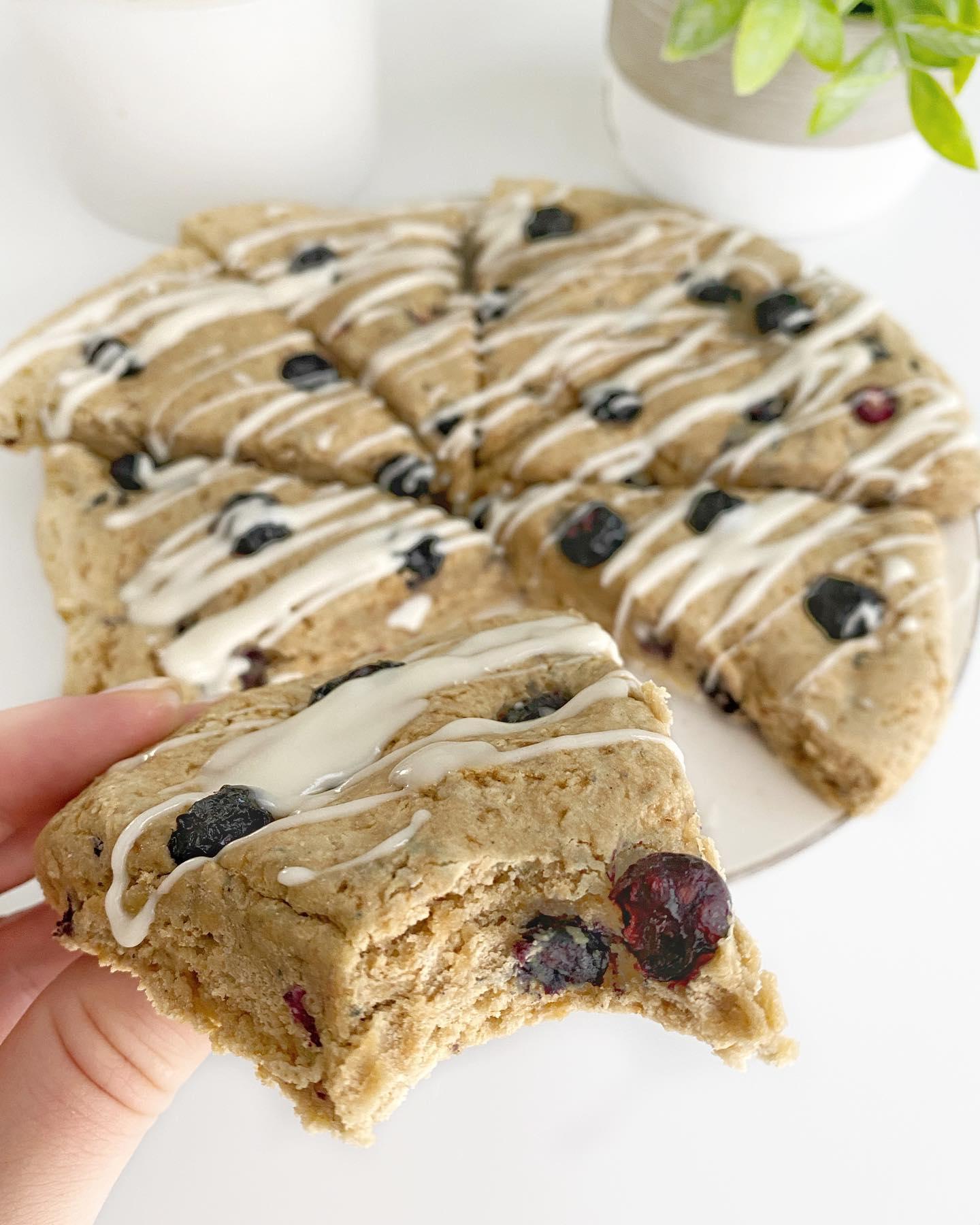 Gluten-Free Blueberry Scones with Vanilla Frosting