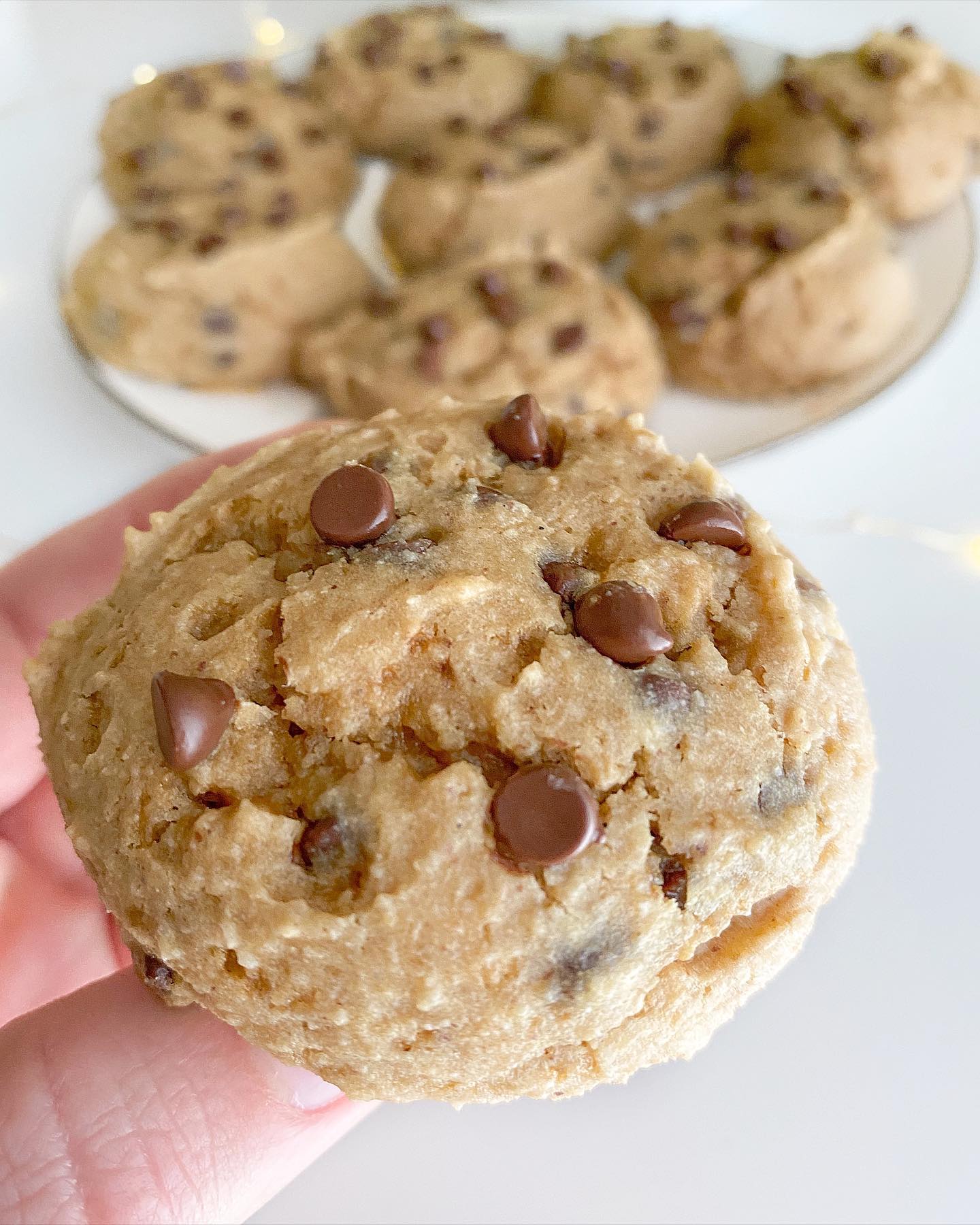 Peanut Butter Chocolate Chip Cookies