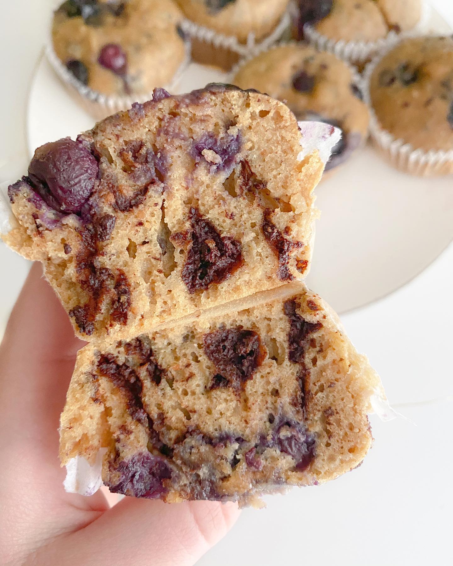 Warm Blueberry Muffins with Chocolate Chunks