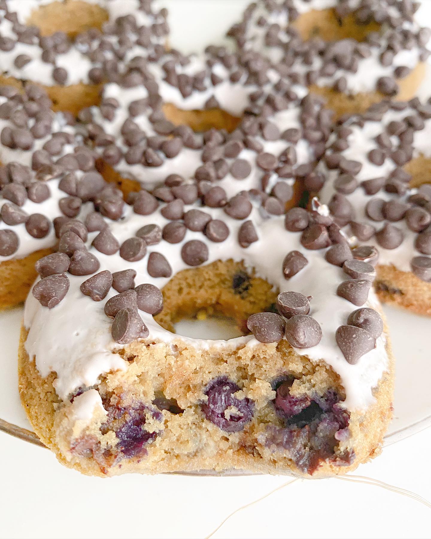 Blueberry Chocolate Chip Donuts