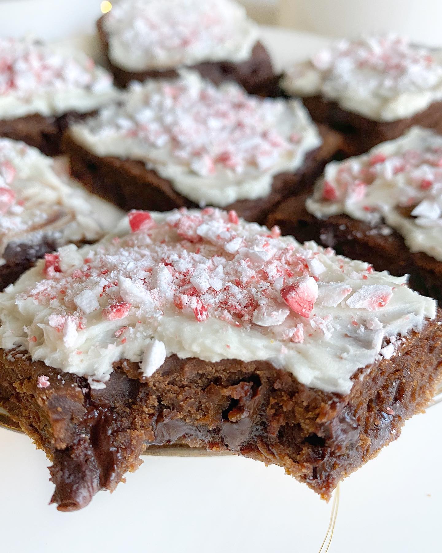 Double Chocolate Peppermint Bars