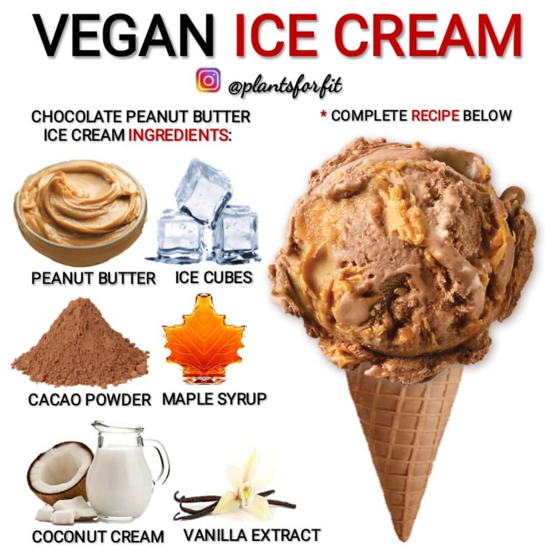 Vegan Chocolate Peanut Butter Ice Cream