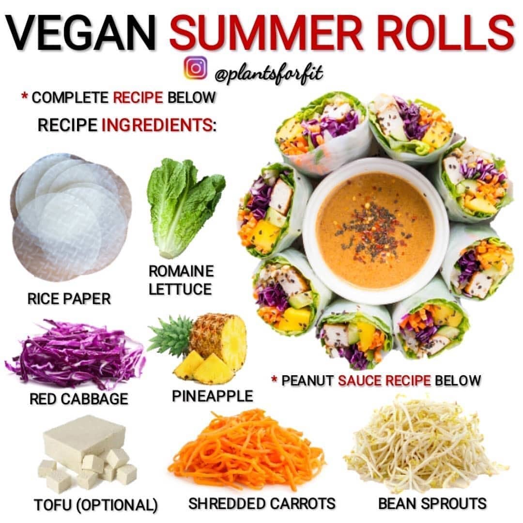 Vegan Summer Rolls with Peanut Sauce