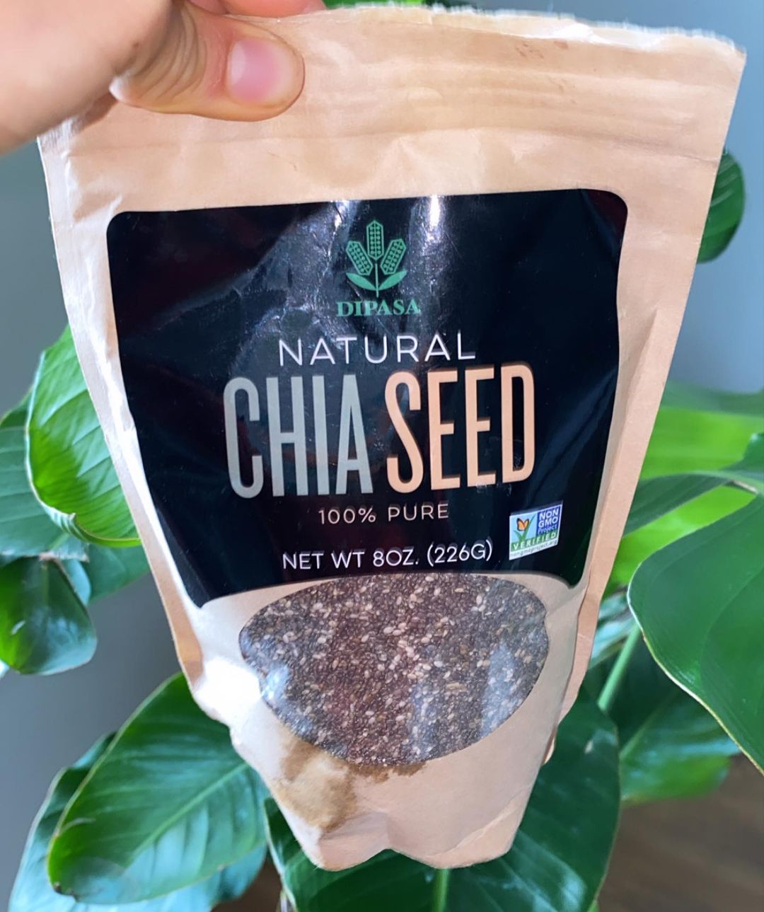 Zucchini Oats with Chia and Chocolate Boost